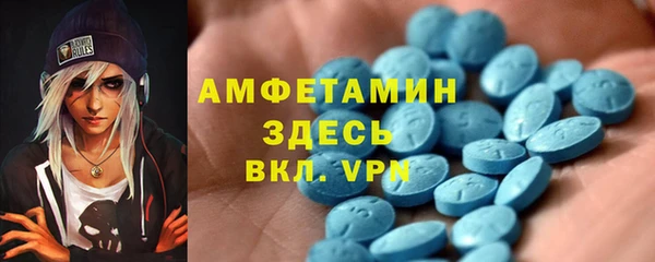 твердый Вяземский
