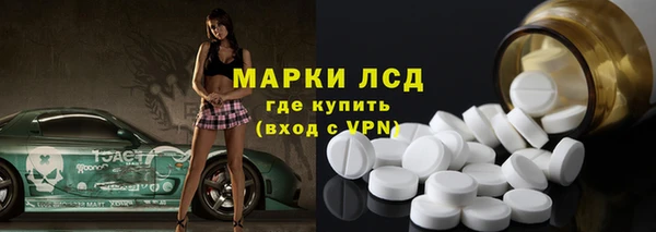 твердый Вяземский