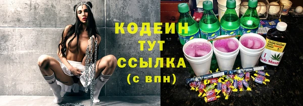 твердый Вяземский