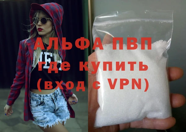 твердый Вяземский