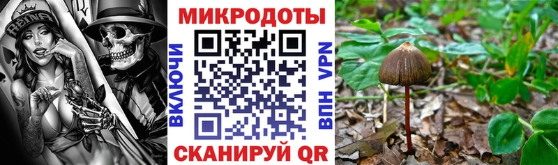 мега вход  Пушкино  Галлюциногенные грибы Magic Shrooms  где можно купить наркотик 