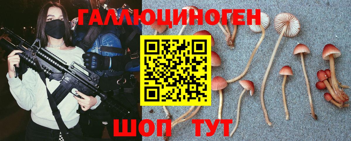 Псилоцибиновые грибы MAGIC MUSHROOMS Пушкино