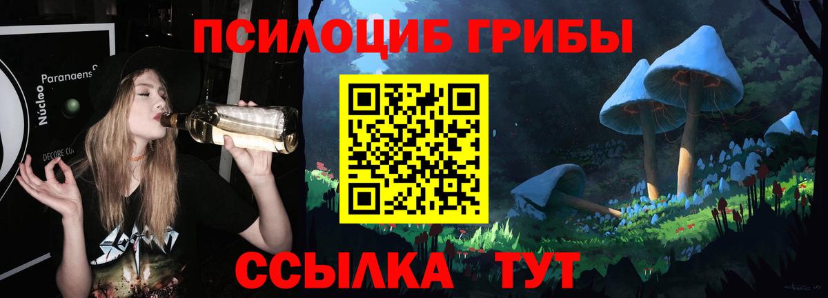 Галлюциногенные грибы Psilocybe  Вход с VPN  Пушкино 
